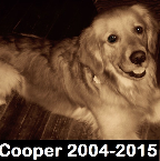 Cooper 2004-2015